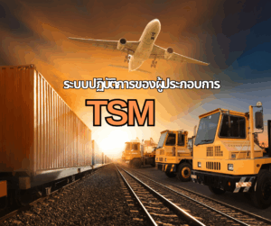ระบบปฏิบัติการของผู้ประกอบการและ TSM 